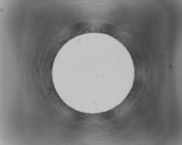 X0000062670769200601181859