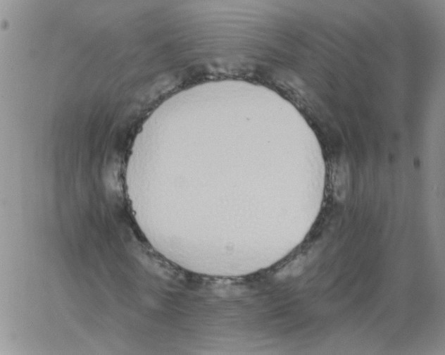 X0000062670770200601181859