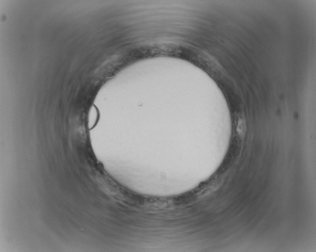 X0000062670771200601181859