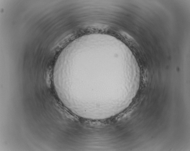 X0000062670774200601181859