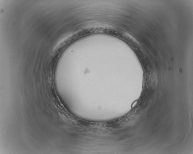 X0000062670775200601181859