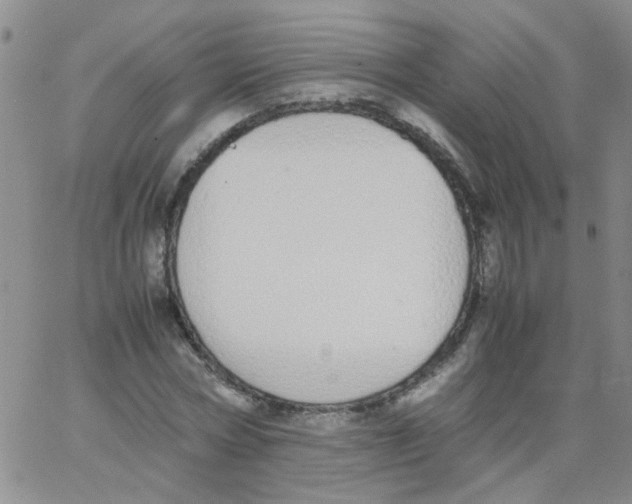 X0000062670778200601181859