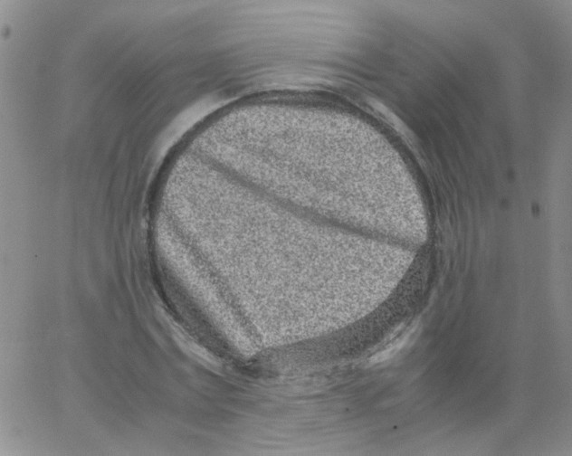 X0000062670779200601181859