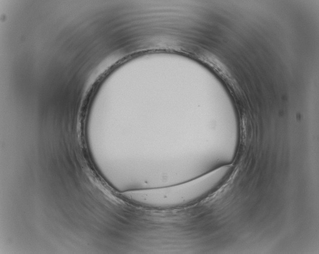 X0000062670780200601181859