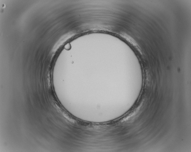 X0000062670782200601181859