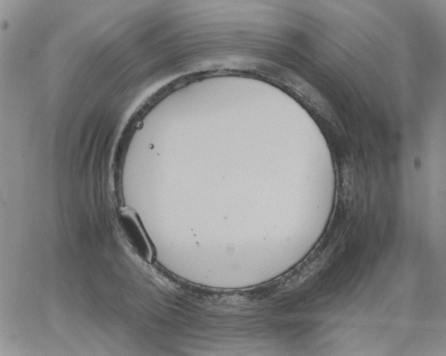 X0000062670784200601181859