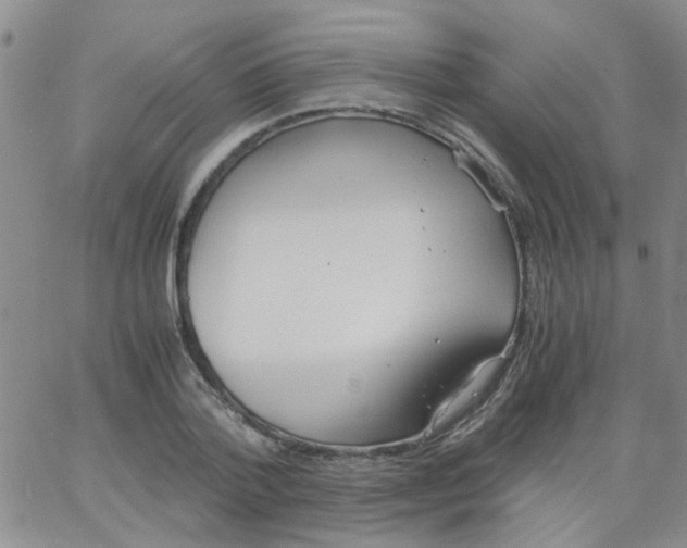 X0000062670788200601181859