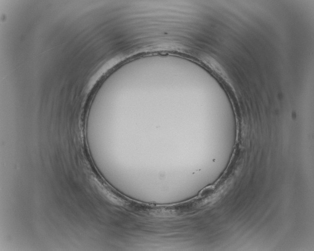 X0000062670789200601181859