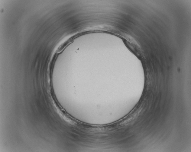 X0000062670792200601181859