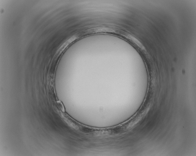 X0000062670793200601181859