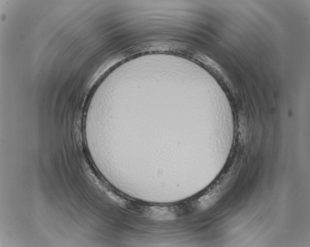 X0000062670794200601181859