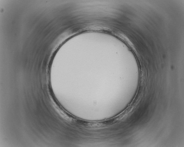 X0000062670795200601181859