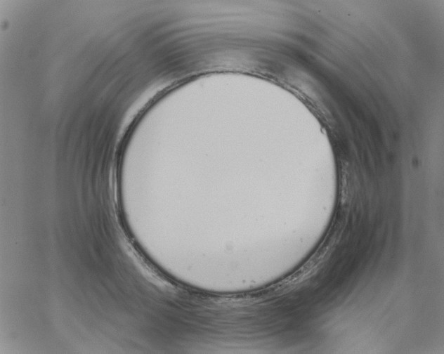 X0000062670796200601181859