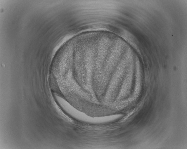 X0000062670797200601181859