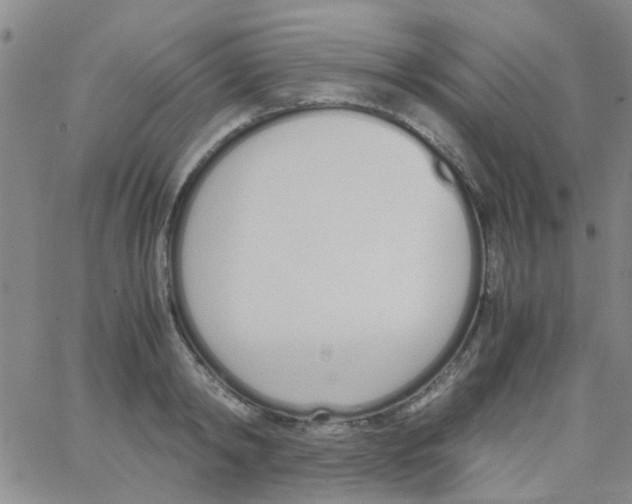 X0000062670798200601181859