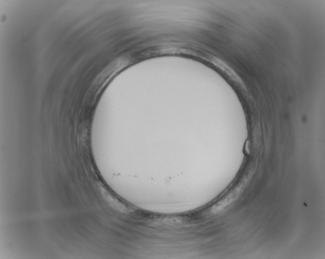 X0000062670801200601181859