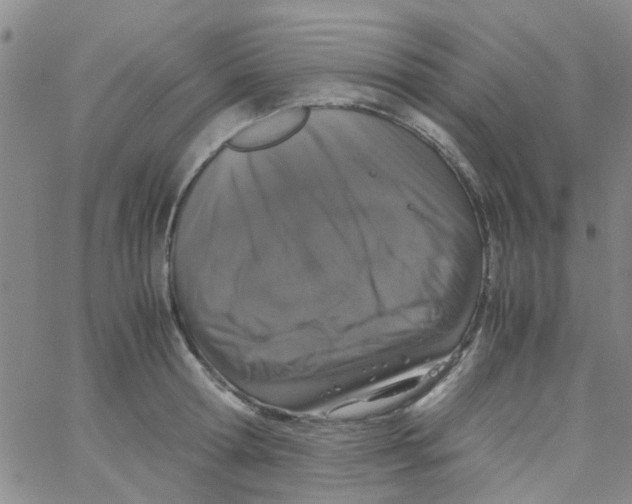 X0000062670802200601181859