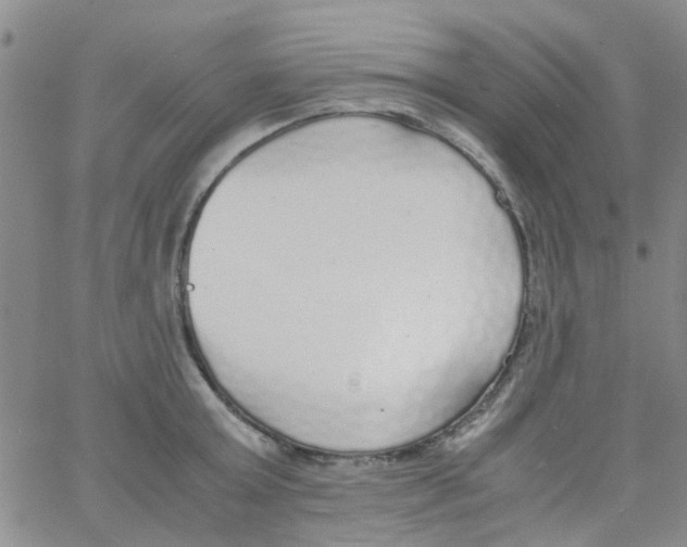 X0000062670803200601181859