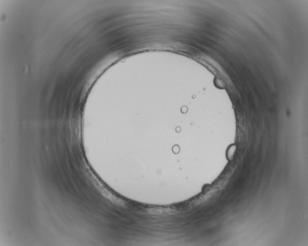 X0000062670804200601181859