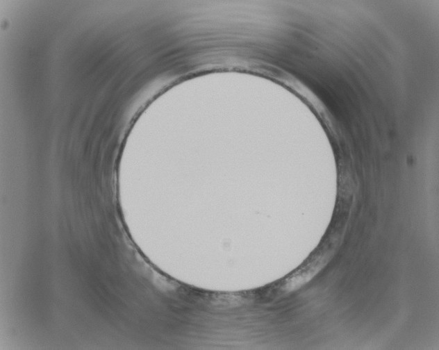 X0000062670807200601181859