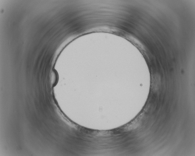 X0000062670808200601181859