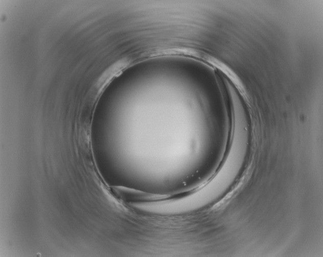 X0000062670809200601181859