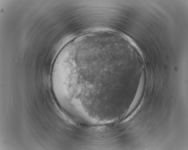 X0000062670810200601181859