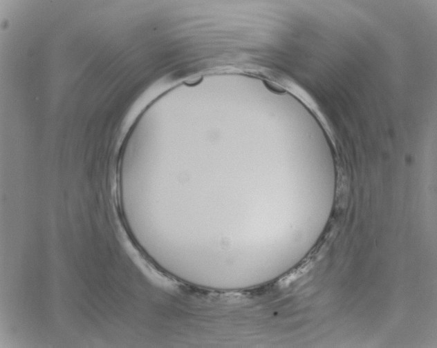 X0000062670811200601181859