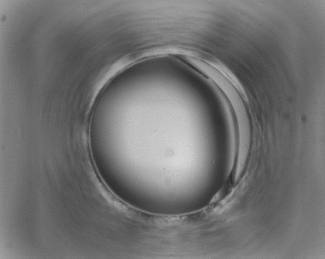 X0000062670813200601181859