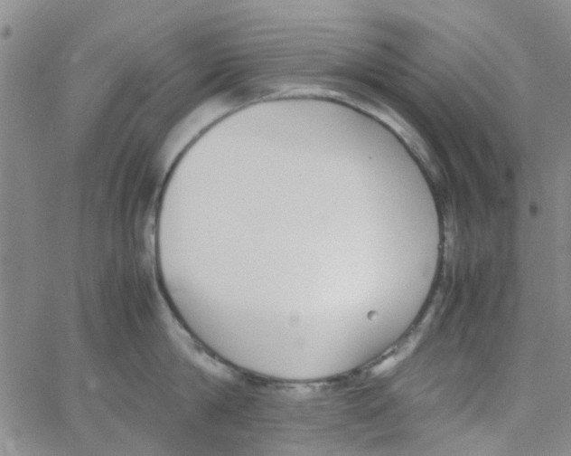 X0000062670814200601181859