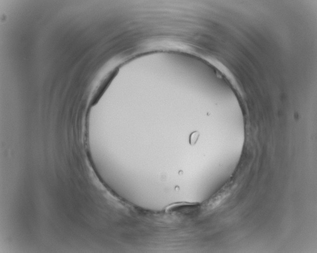 X0000062670815200601181859