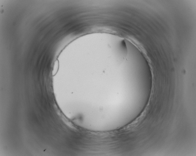 X0000062670816200601181859