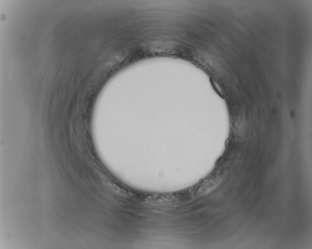 X0000062670817200601181858