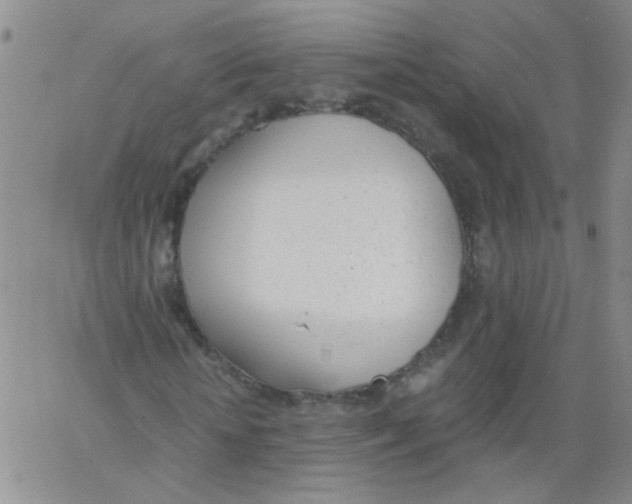 X0000062670818200601181858