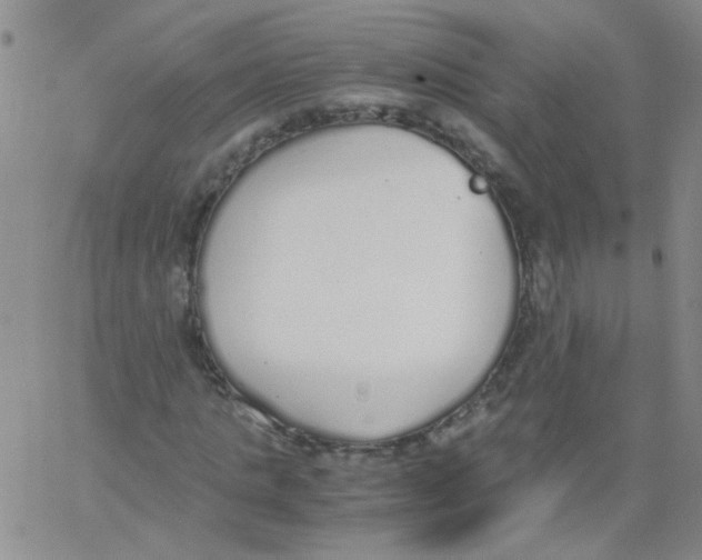 X0000062670821200601181858