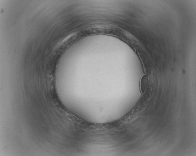 X0000062670822200601181858