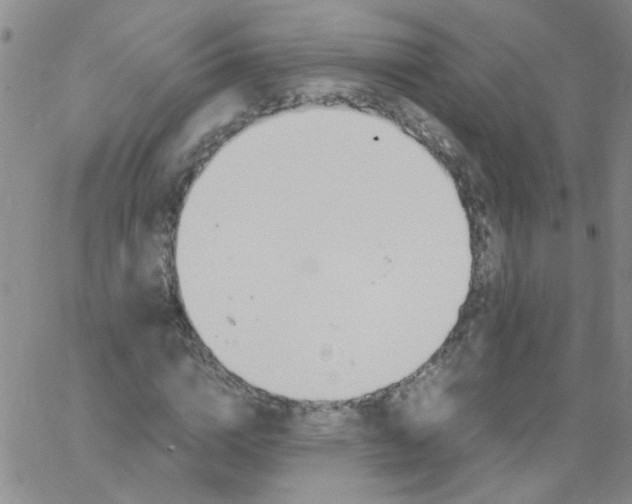 X0000062670824200601181858