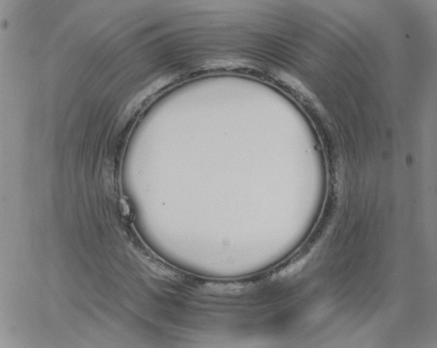 X0000062670825200601181858