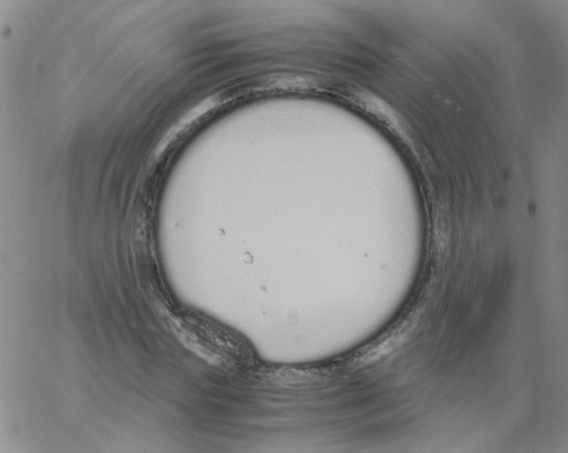 X0000062670827200601181858