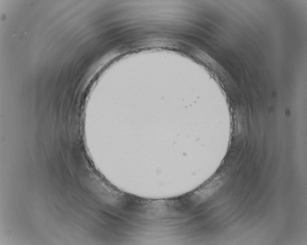 X0000062670828200601181858