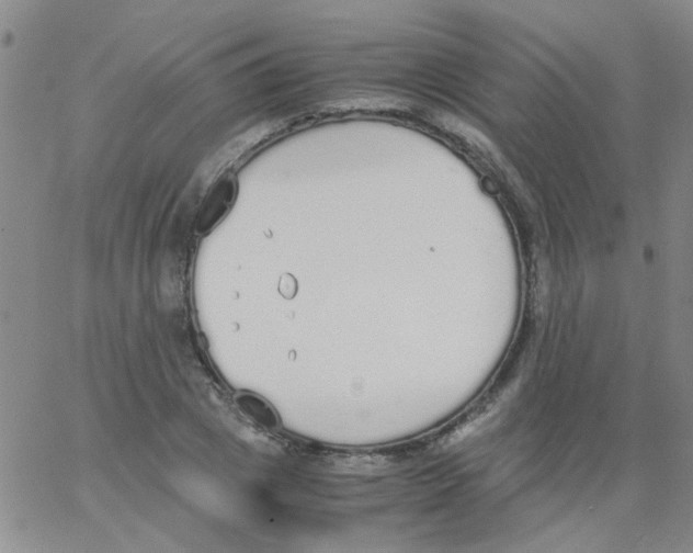 X0000062670833200601181858