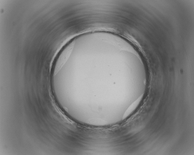 X0000062670836200601181858