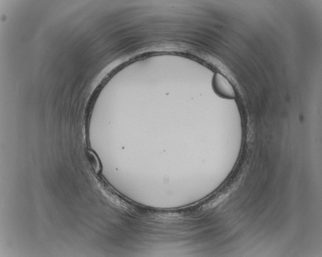 X0000062670837200601181858