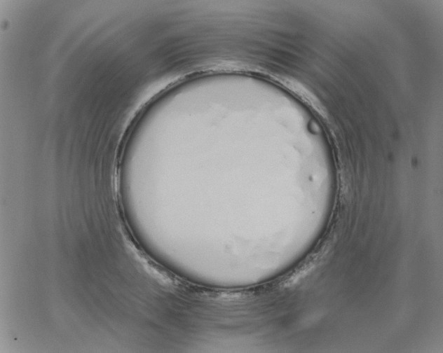 X0000062670839200601181858