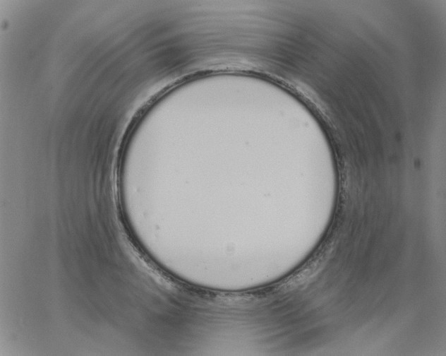 X0000062670840200601181858