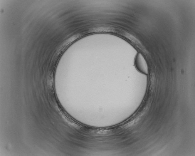 X0000062670841200601181858