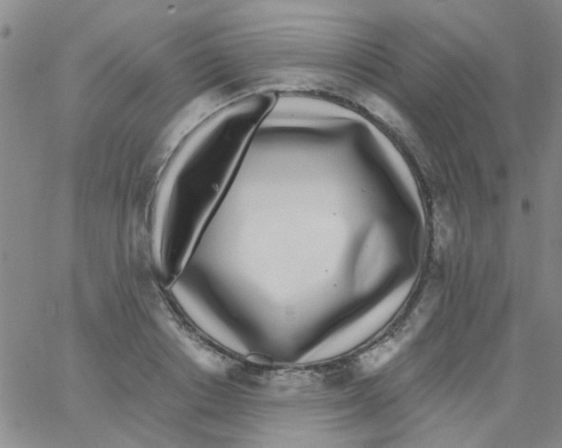 X0000062670842200601181858