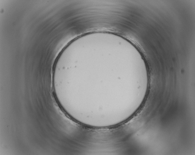 X0000062670844200601181858