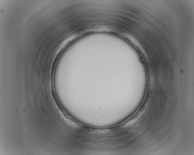 X0000062670845200601181858