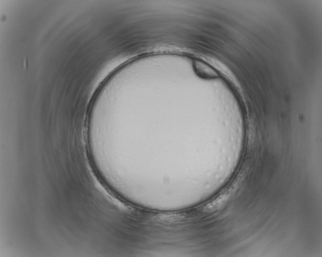 X0000062670847200601181858